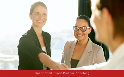 Five requirements for finding employment as an expat partner