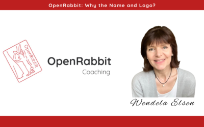 OpenRabbit: Why the Name and Logo?